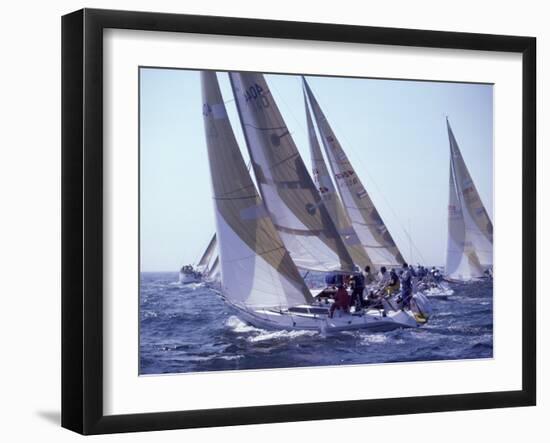 Racing Yachts Newport Rhode Island, USA-null-Framed Photographic Print