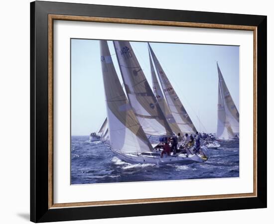 Racing Yachts Newport Rhode Island, USA-null-Framed Photographic Print