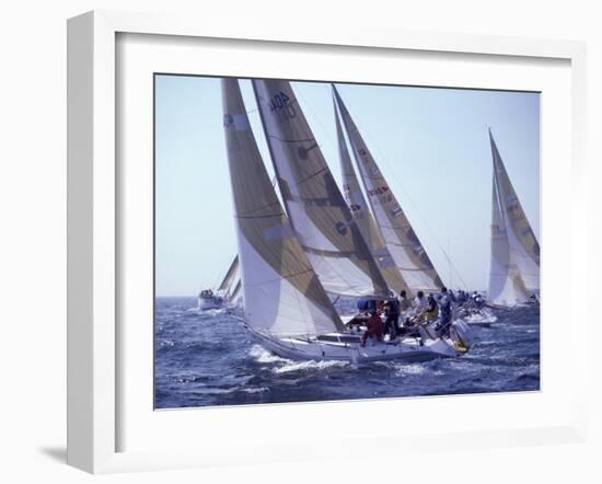 Racing Yachts Newport Rhode Island, USA-null-Framed Photographic Print