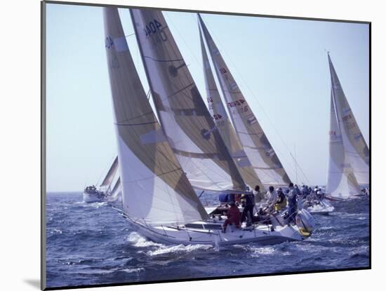 Racing Yachts Newport Rhode Island, USA-null-Mounted Photographic Print