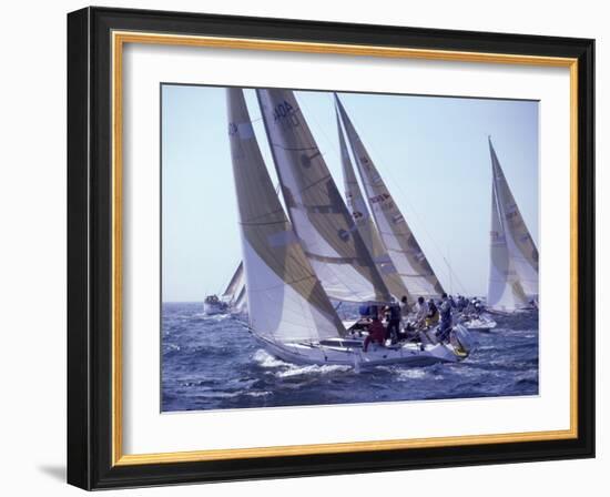 Racing Yachts Newport Rhode Island, USA-null-Framed Photographic Print