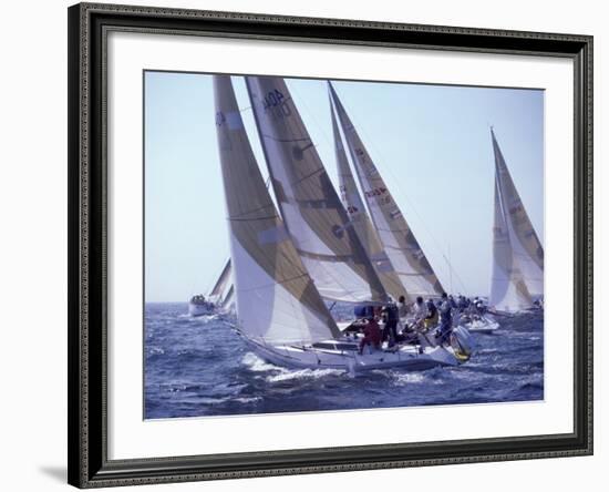 Racing Yachts Newport Rhode Island, USA-null-Framed Photographic Print