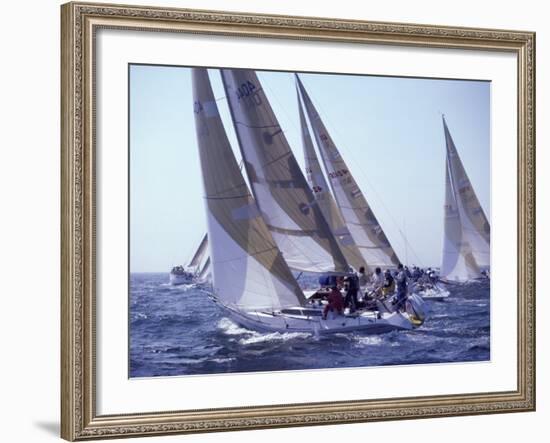 Racing Yachts Newport Rhode Island, USA-null-Framed Photographic Print