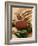 Rack of Lamb with Sichuan Pepper on Fried Sage-null-Framed Photographic Print