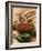 Rack of Lamb with Sichuan Pepper on Fried Sage-null-Framed Photographic Print