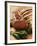 Rack of Lamb with Sichuan Pepper on Fried Sage-null-Framed Photographic Print