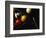 Rack of Pool Balls with Chalk and Cue-Ernie Friedlander-Framed Photographic Print