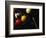 Rack of Pool Balls with Chalk and Cue-Ernie Friedlander-Framed Photographic Print