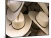 Rack with Assortment of Stylish Mexican Hats, Puerto Vallarta, Mexico-Nancy & Steve Ross-Mounted Photographic Print
