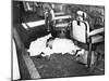 Racketeer Albert Anastasia, Lord High Executioner for Murder, Inc, Dead at Park-Sheraton Hotel-null-Mounted Photo