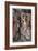 Rackham, Cinderella-Arthur Rackham-Framed Art Print