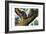 Racoon, 1860-null-Framed Giclee Print