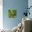 Racoon Bird-Pixelmated Animals-Photo displayed on a wall
