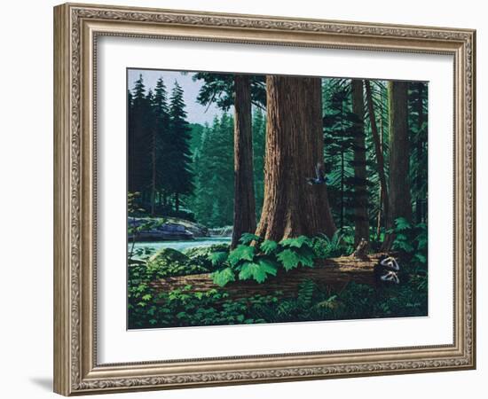 Racoon Family-Stan Galli-Framed Giclee Print