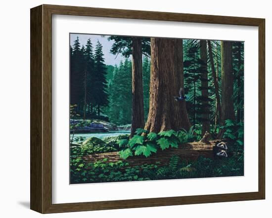 Racoon Family-Stan Galli-Framed Giclee Print