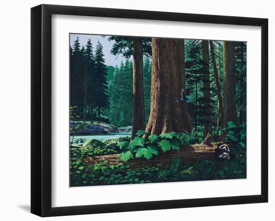 Racoon Family-Stan Galli-Framed Giclee Print