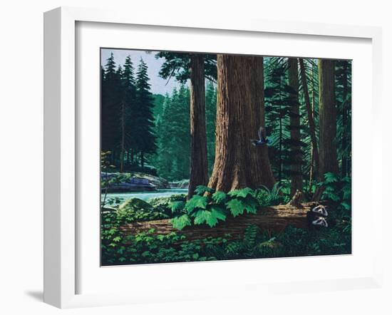 Racoon Family-Stan Galli-Framed Giclee Print