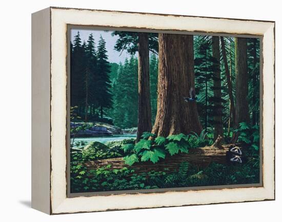 Racoon Family-Stan Galli-Framed Premier Image Canvas