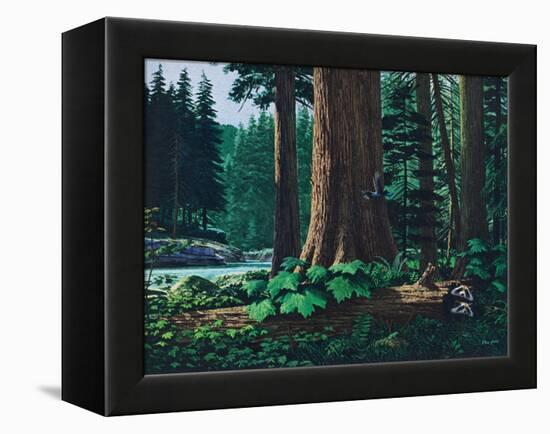 Racoon Family-Stan Galli-Framed Premier Image Canvas