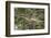 Racoon (Raccoon) (Procyon Lotor), Montana, United States of America, North America-Janette Hil-Framed Photographic Print