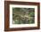 Racoon (Raccoon) (Procyon Lotor), Montana, United States of America, North America-Janette Hil-Framed Photographic Print