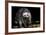 Racoon-Reiner Bernhardt-Framed Photographic Print