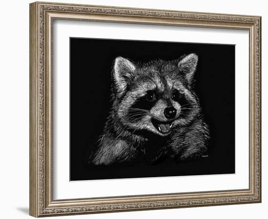 Racoon-Geraldine Aikman-Framed Giclee Print