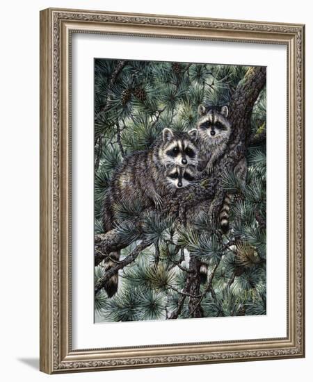 Racoons-Jeff Tift-Framed Giclee Print