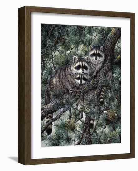 Racoons-Jeff Tift-Framed Giclee Print