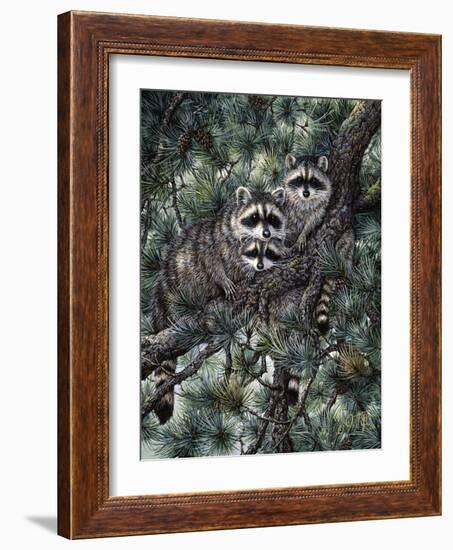 Racoons-Jeff Tift-Framed Giclee Print