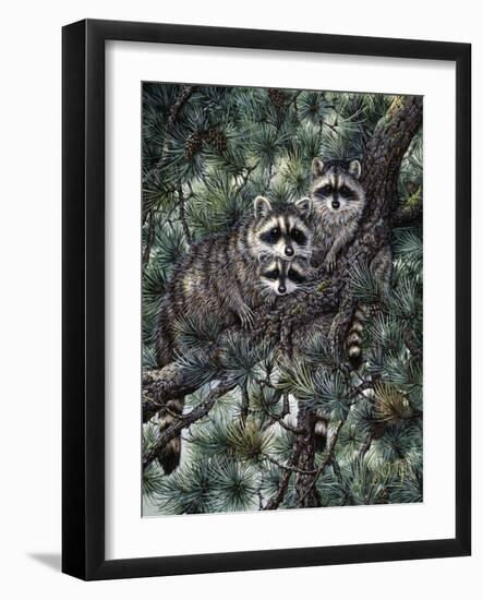 Racoons-Jeff Tift-Framed Giclee Print