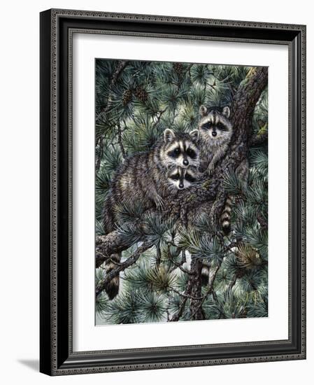 Racoons-Jeff Tift-Framed Giclee Print