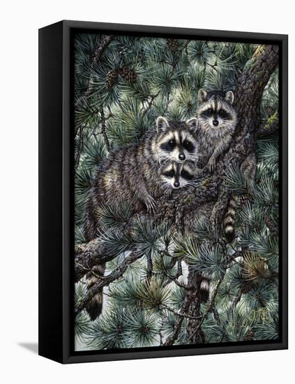 Racoons-Jeff Tift-Framed Premier Image Canvas