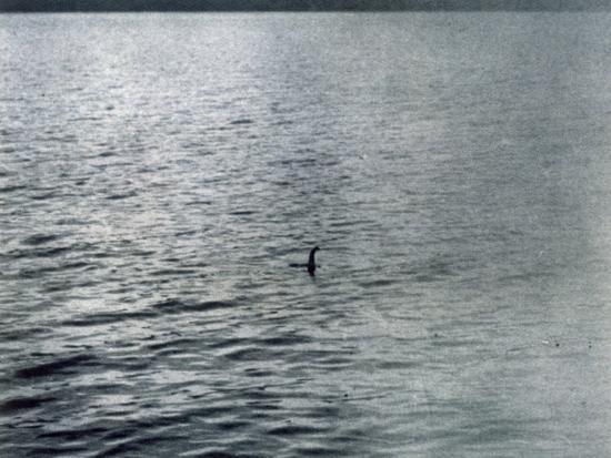 Photographic Print, , large