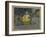 Radha and Krishna in a Grove, India-null-Framed Giclee Print