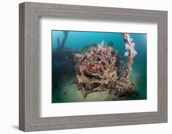 Radial Engine of the Dauntless Dive Powerful Striker Aircraft Wreck, Marovo Lagoon, the Solomon Isl-Reinhard Dirscherl-Framed Photographic Print