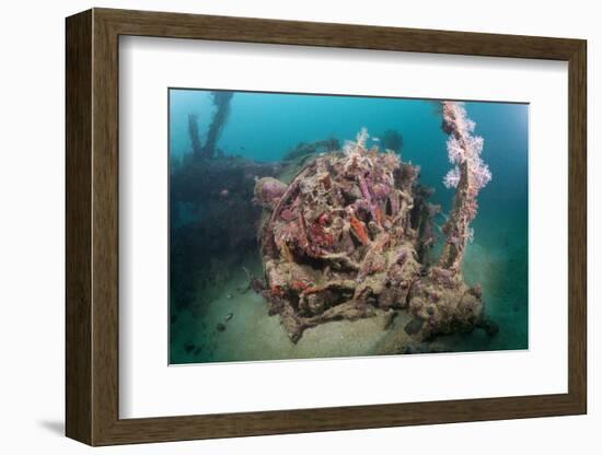 Radial Engine of the Dauntless Dive Powerful Striker Aircraft Wreck, Marovo Lagoon, the Solomon Isl-Reinhard Dirscherl-Framed Photographic Print