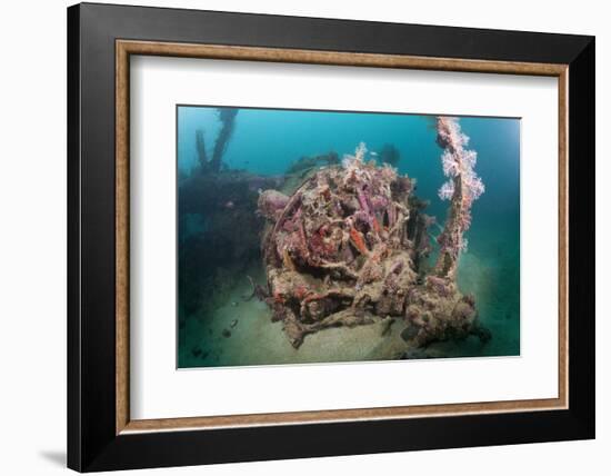 Radial Engine of the Dauntless Dive Powerful Striker Aircraft Wreck, Marovo Lagoon, the Solomon Isl-Reinhard Dirscherl-Framed Photographic Print