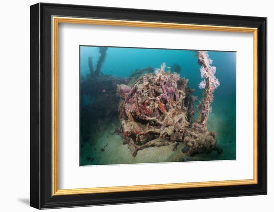 Radial Engine of the Dauntless Dive Powerful Striker Aircraft Wreck, Marovo Lagoon, the Solomon Isl-Reinhard Dirscherl-Framed Photographic Print