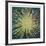 Radiance-Jon D'Orazio-Framed Collectable Print