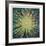 Radiance-Jon D'Orazio-Framed Collectable Print