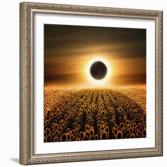 Radiance-Luis Beltran-Framed Photographic Print