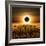 Radiance-Luis Beltran-Framed Photographic Print