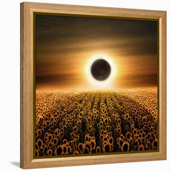 Radiance-Luis Beltran-Framed Premier Image Canvas