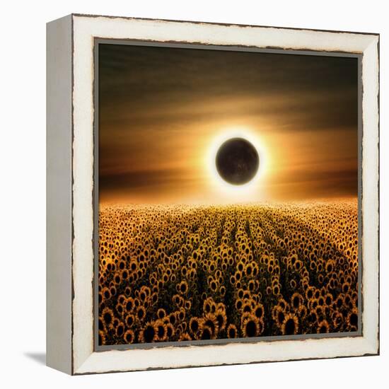 Radiance-Luis Beltran-Framed Premier Image Canvas