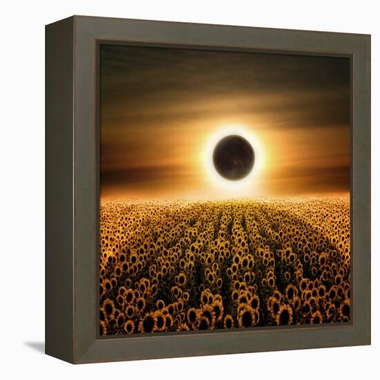 Radiance-Luis Beltran-Framed Premier Image Canvas