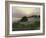 Radiance-Bruce Dumas-Framed Giclee Print