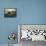 Radiance-Bruce Dumas-Framed Premier Image Canvas displayed on a wall