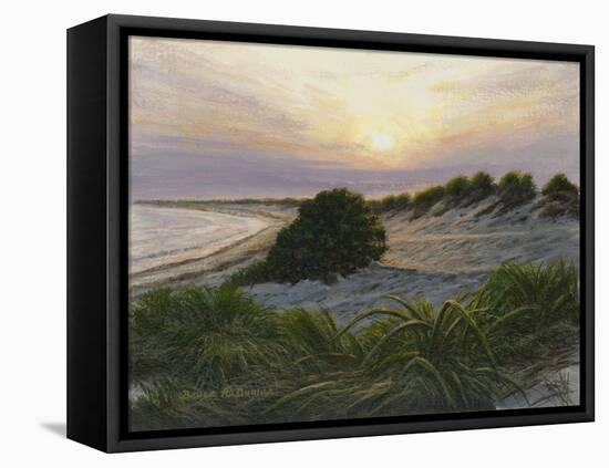 Radiance-Bruce Dumas-Framed Premier Image Canvas