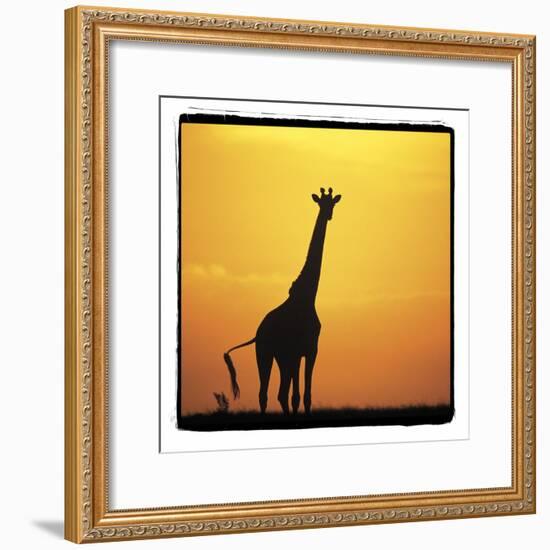 Radiant Africa 1-Susann Parker-Framed Photographic Print